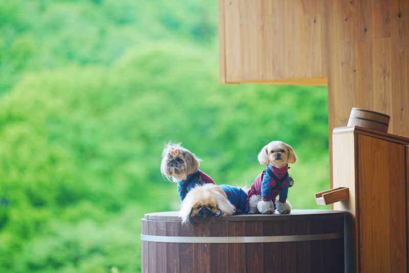 UCさんのEarthboat Minakami Fujiwaraのサ活写真