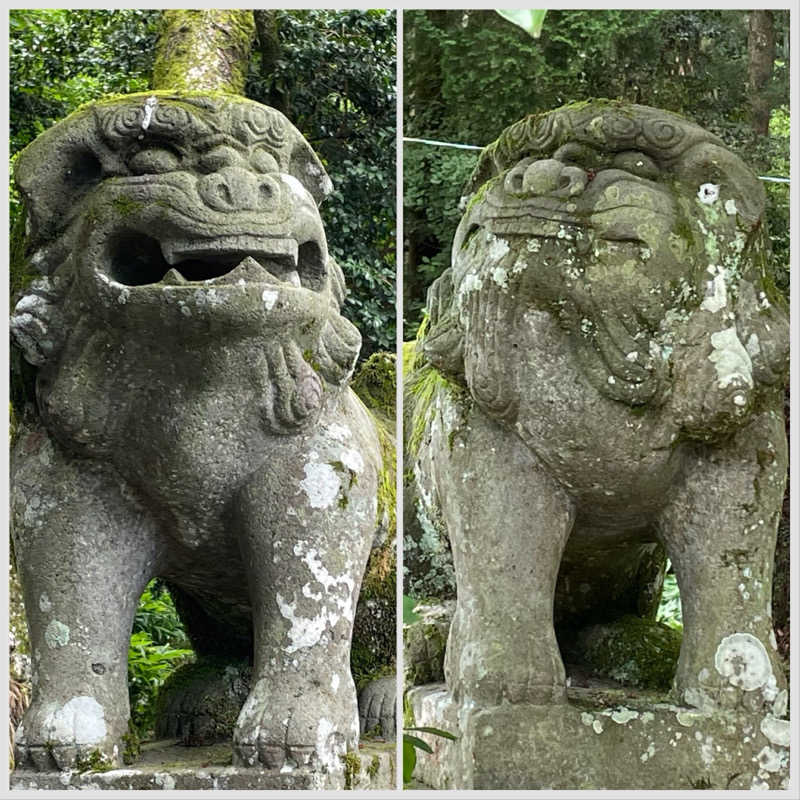 Official蒸男dismさんの畑冷泉館のサ活写真