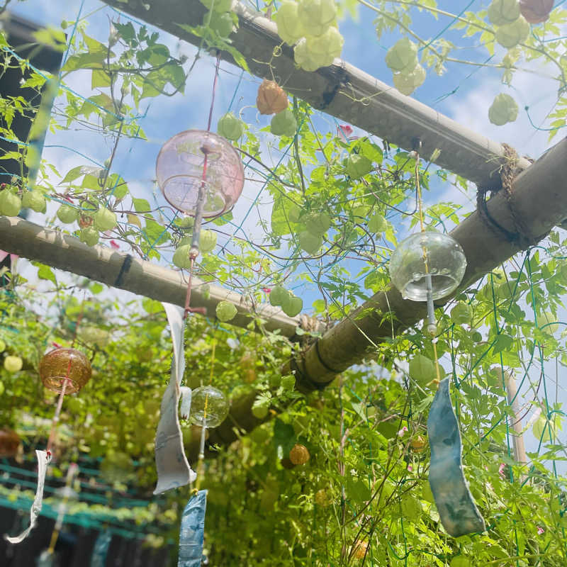 E25さんのふれあいパーク てまりの湯のサ活写真