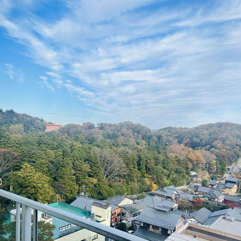 E25さんの四季の宿みのやのサ活写真