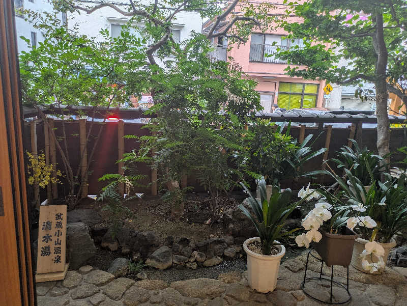 りうさんの武蔵小山温泉 清水湯のサ活写真