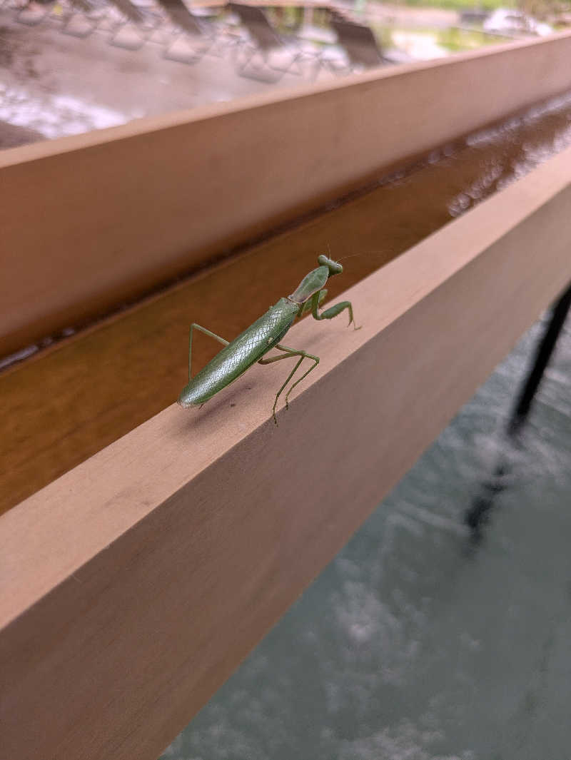 りうさんのSATOYAMA TERRACEのサ活写真