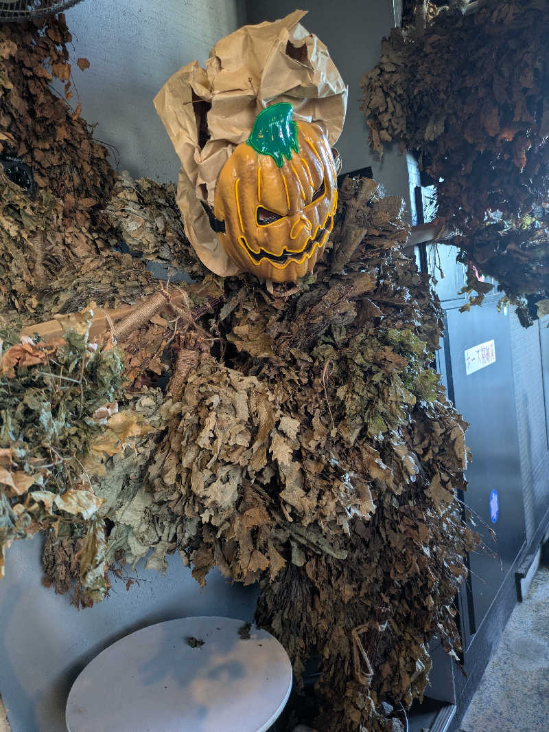 りうさんの天空のアジト マルシンスパのサ活写真