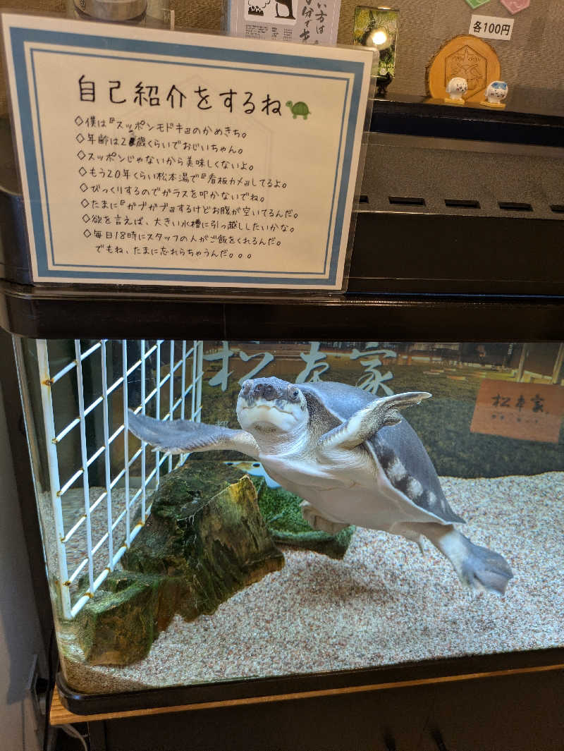 りうさんの松本湯のサ活写真