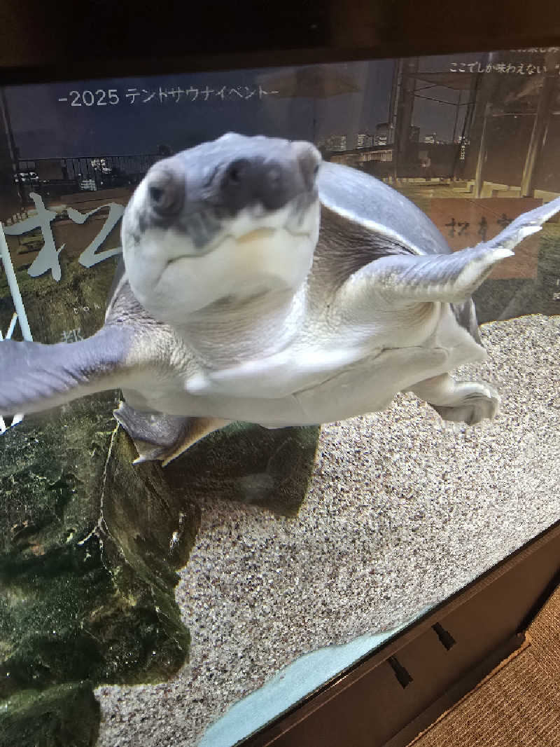 TONYUさんの松本湯のサ活写真