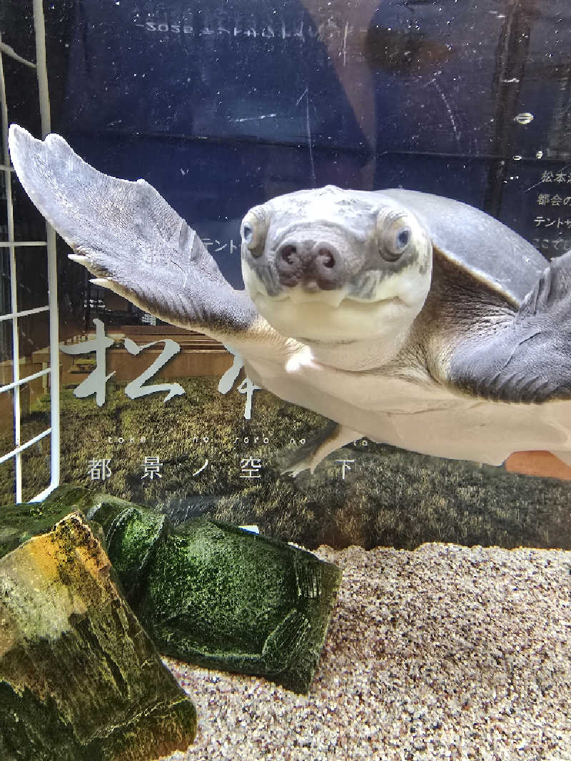 TONYUさんの松本湯のサ活写真