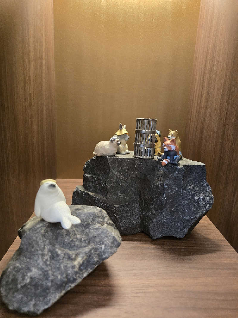 TONYUさんのサウナメッツァ 大井町トラックスのサ活写真