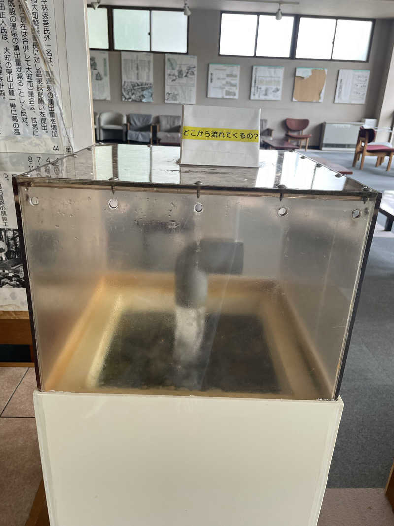 AYAさんの湯けむり屋敷 薬師の湯のサ活写真