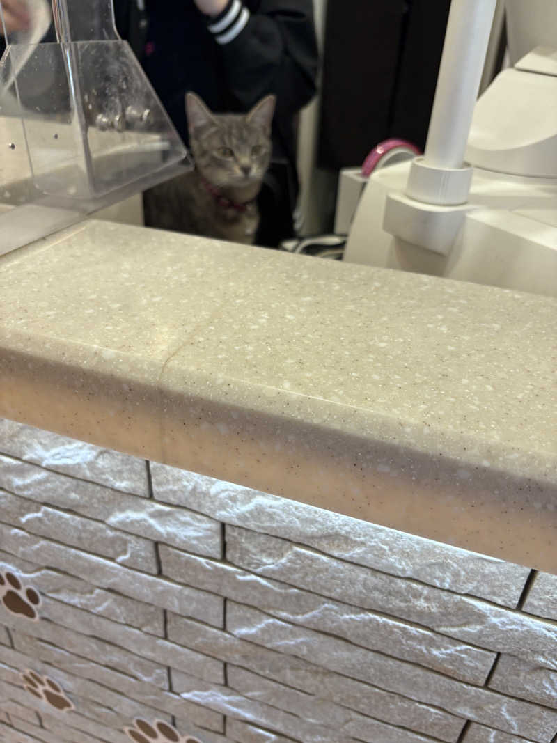 おにぎり丸3世さんの行田・湯本天然温泉 茂美の湯のサ活写真