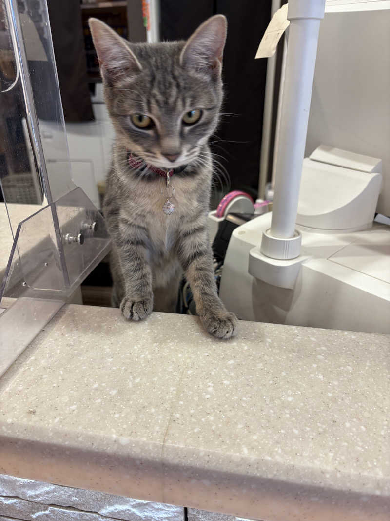 おにぎり丸3世さんの行田・湯本天然温泉 茂美の湯のサ活写真