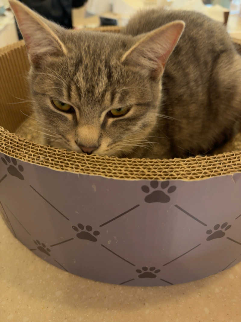 おにぎり丸3世さんの行田・湯本天然温泉 茂美の湯のサ活写真