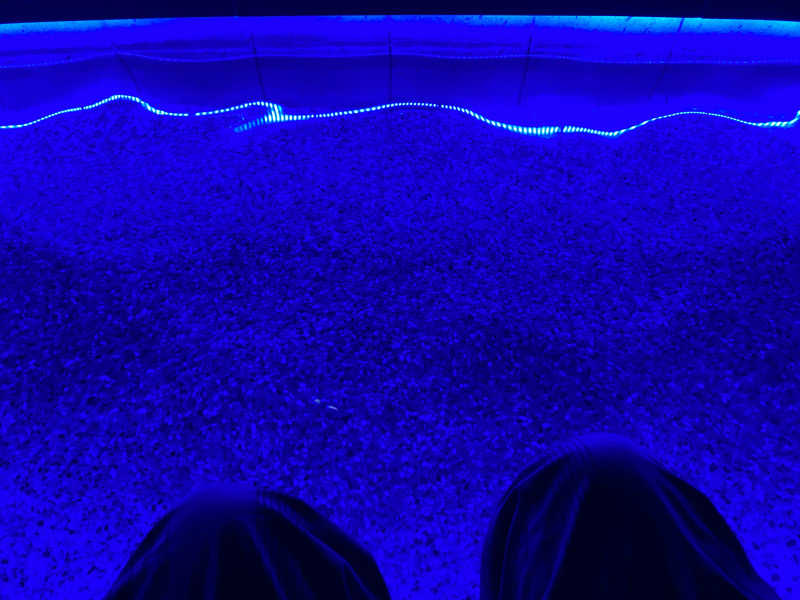 katochanpe86さんの東京豊洲 万葉倶楽部のサ活写真