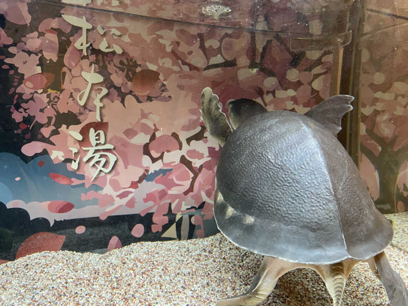 cova.さんの松本湯のサ活写真