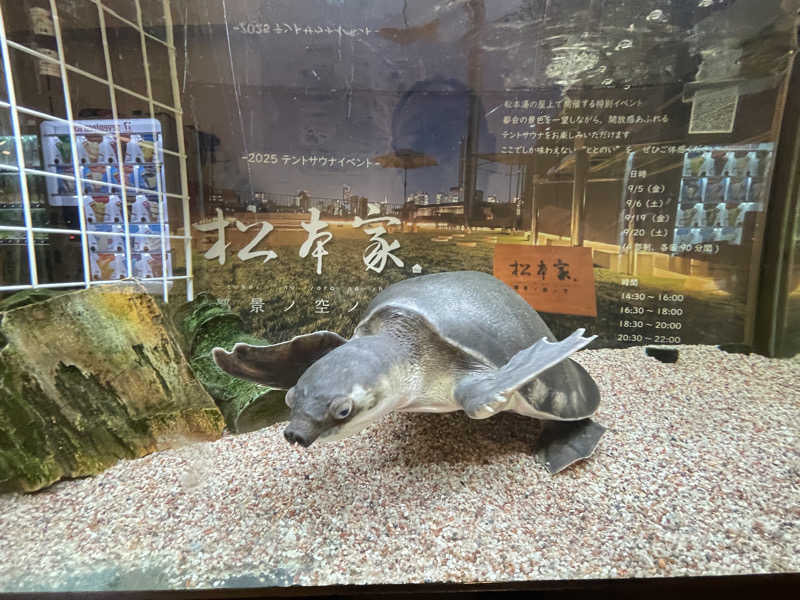 cova.さんの松本湯のサ活写真