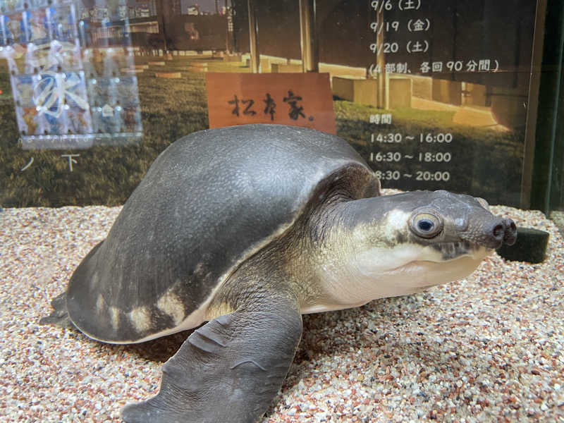 cova.さんの松本湯のサ活写真