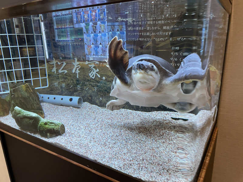 cova.さんの松本湯のサ活写真