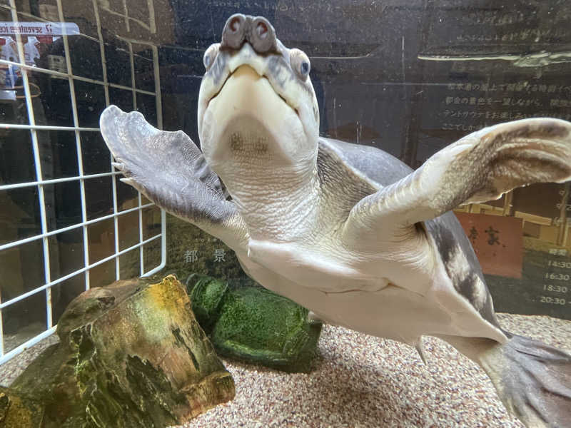 cova.さんの松本湯のサ活写真