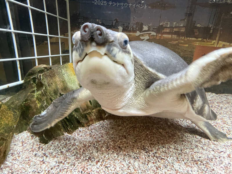 cova.さんの松本湯のサ活写真