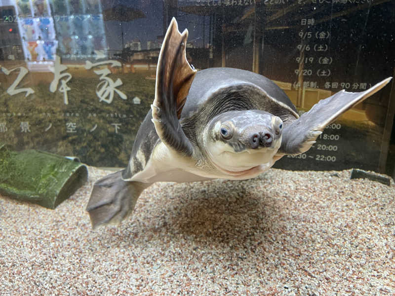 cova.さんの松本湯のサ活写真