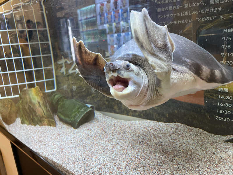 cova.さんの松本湯のサ活写真