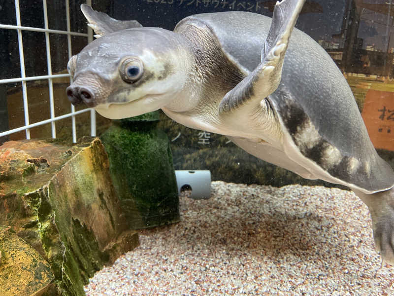 cova.さんの松本湯のサ活写真