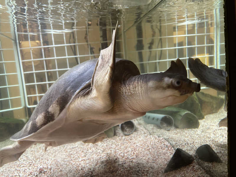 cova.さんの松本湯のサ活写真