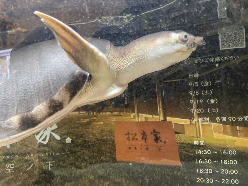 cova.さんの松本湯のサ活写真
