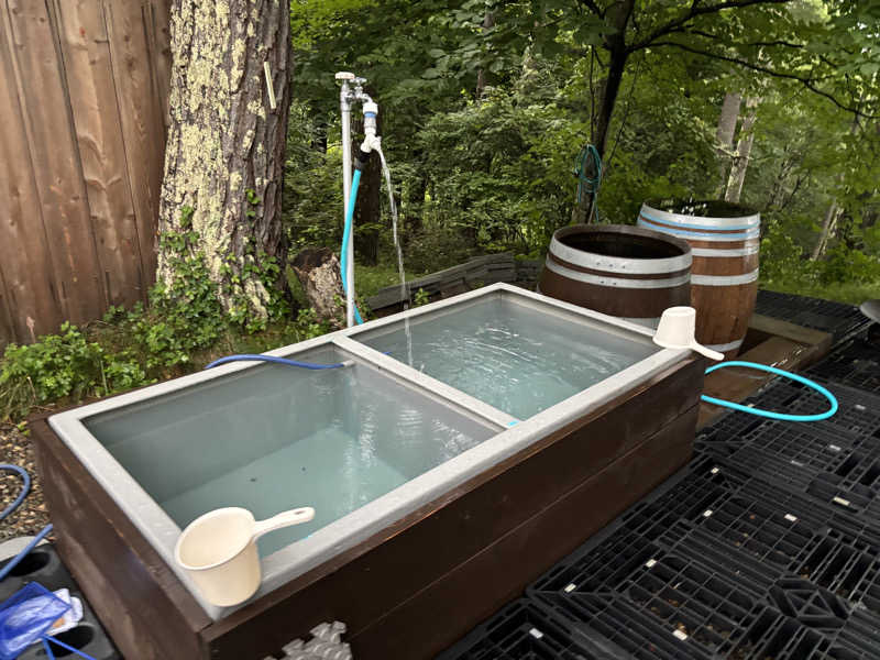 コロッケさんのSAUNA TEN            "Birch and cloud forest"のサ活写真