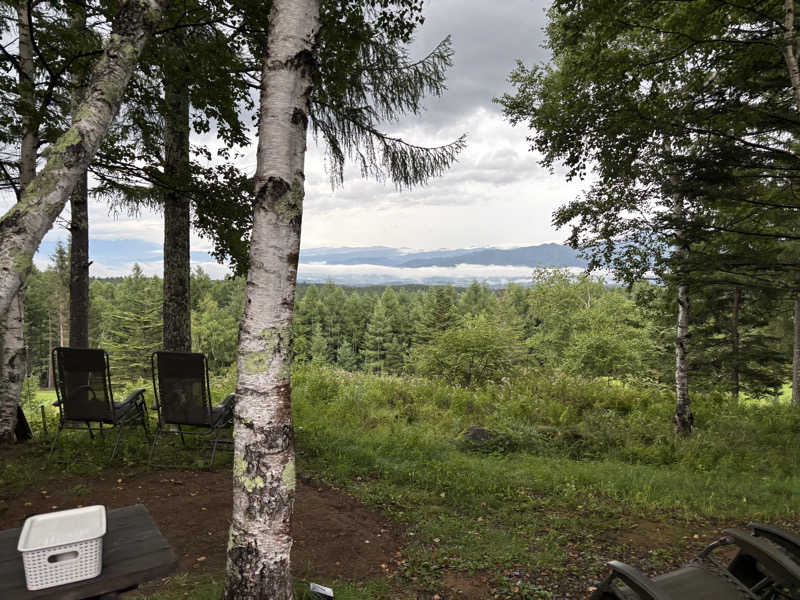 コロッケさんのSAUNA TEN            "Birch and cloud forest"のサ活写真
