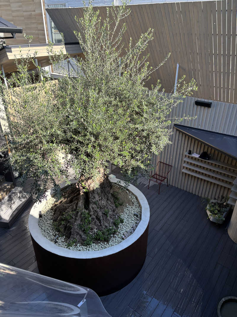 サウマさんのsauna kolme kylä (サウナ コルメ キュラ)のサ活写真