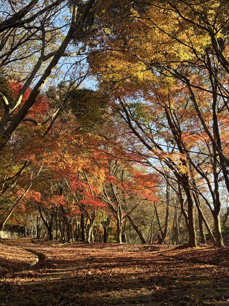 す༄さんの都湯-島原-のサ活写真