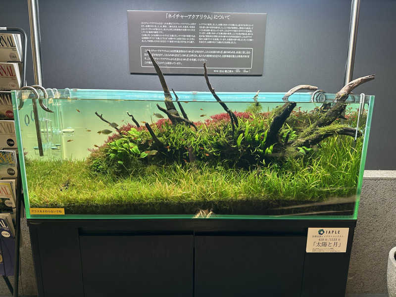 まろさんのSAUNA煌ｰKOUｰのサ活写真