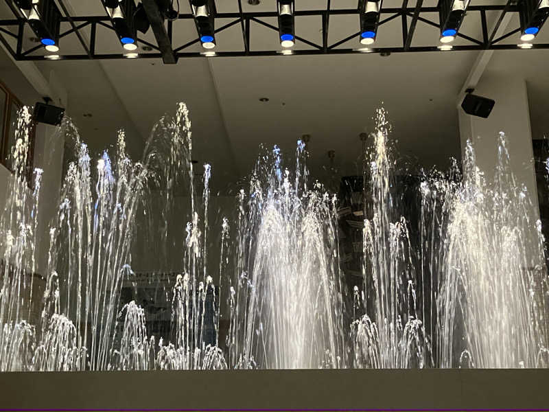 ジョニーさんのウェスティンルスツ温泉のサ活写真