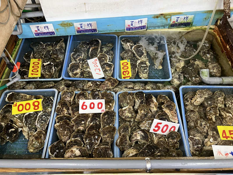 ジョニーさんの湯谷荘のサ活写真