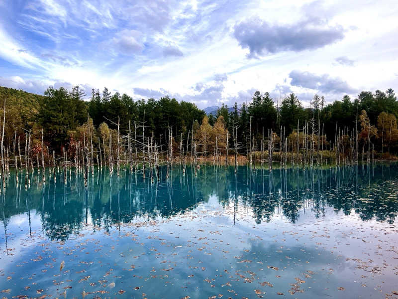 奈落乃悪次郎さんの吹上温泉保養センター 白銀荘のサ活写真