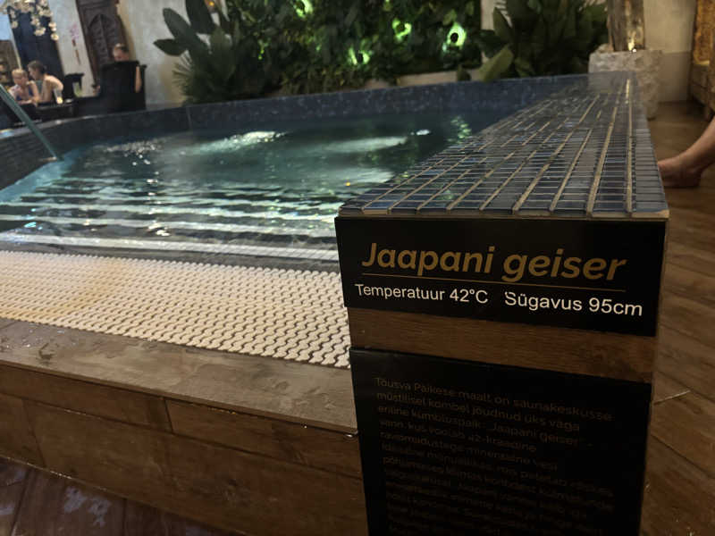 TKDさんのMustamäe Elamus Spaのサ活写真