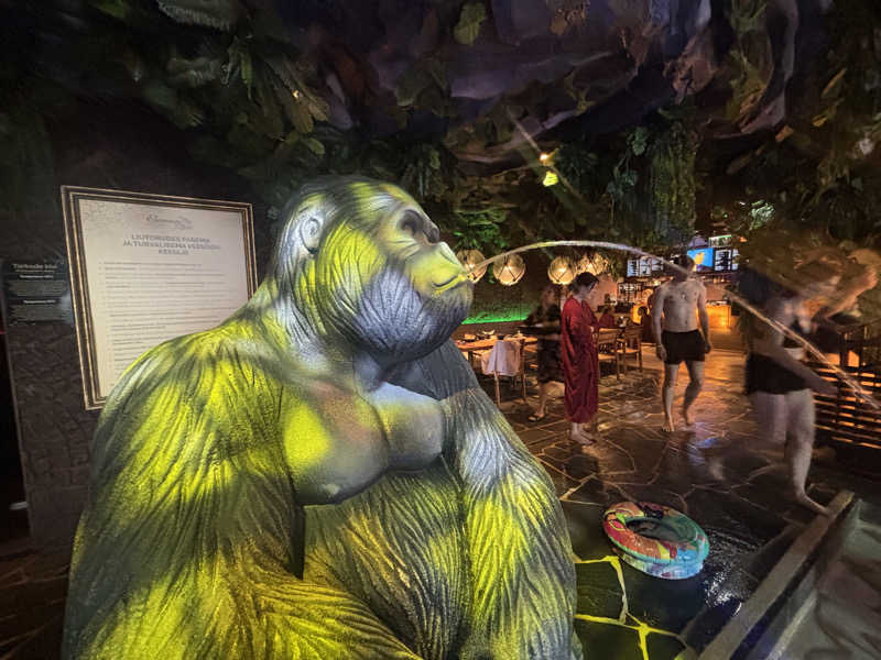 TKDさんのMustamäe Elamus Spaのサ活写真