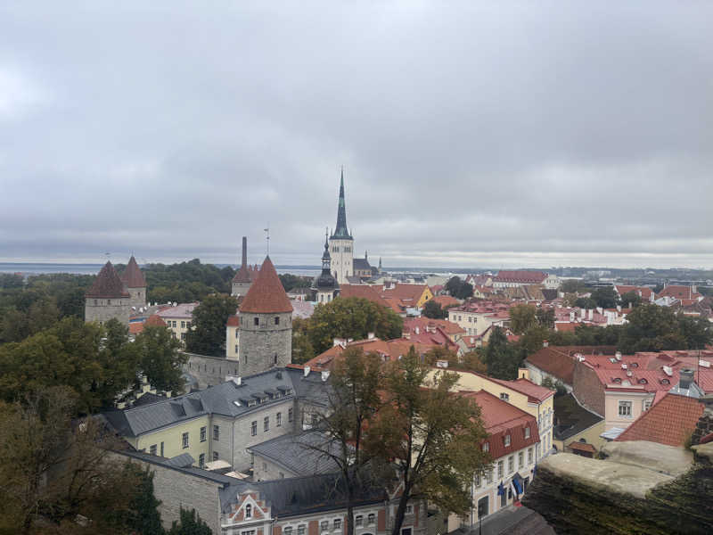 TKDさんのMustamäe Elamus Spaのサ活写真