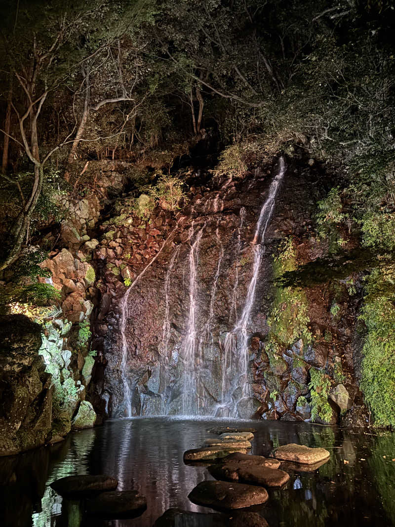 たいちさんの箱根湯本温泉 天成園のサ活写真