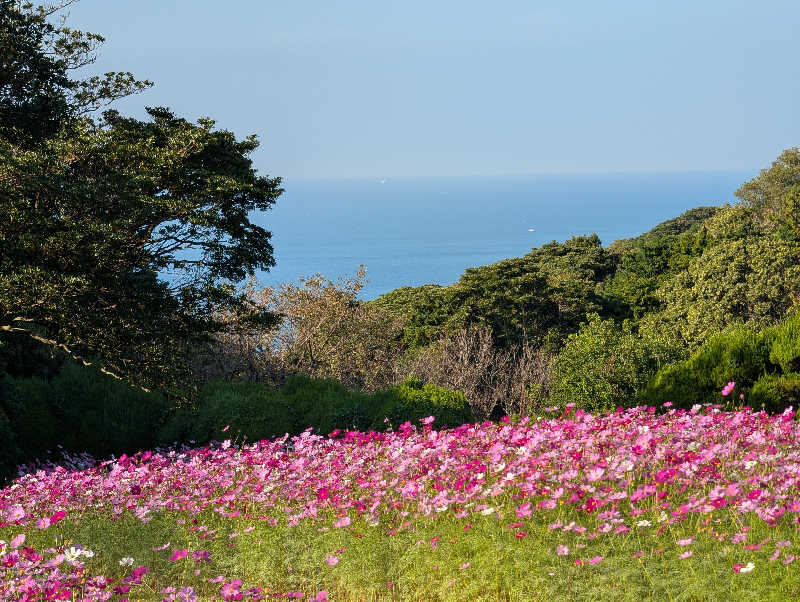 まちゃこさんの新宮温泉 ふくの湯のサ活写真