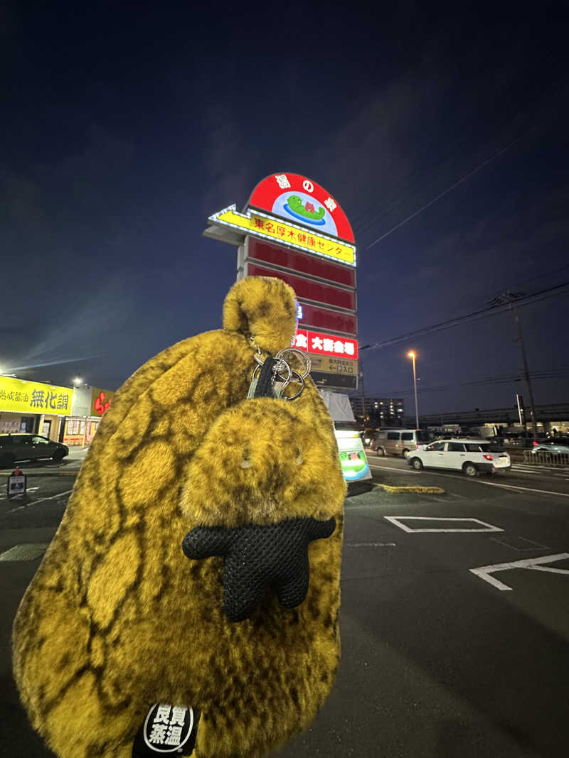 SHOさんの湯の泉 東名厚木健康センターのサ活写真