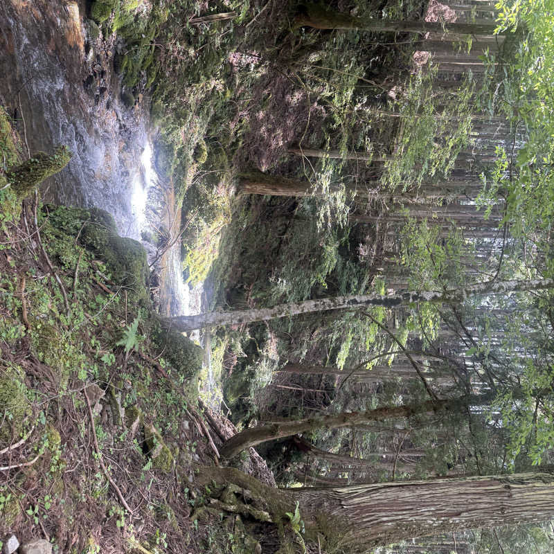 ほっさんさんのKanzaki Sanga Saunaのサ活写真