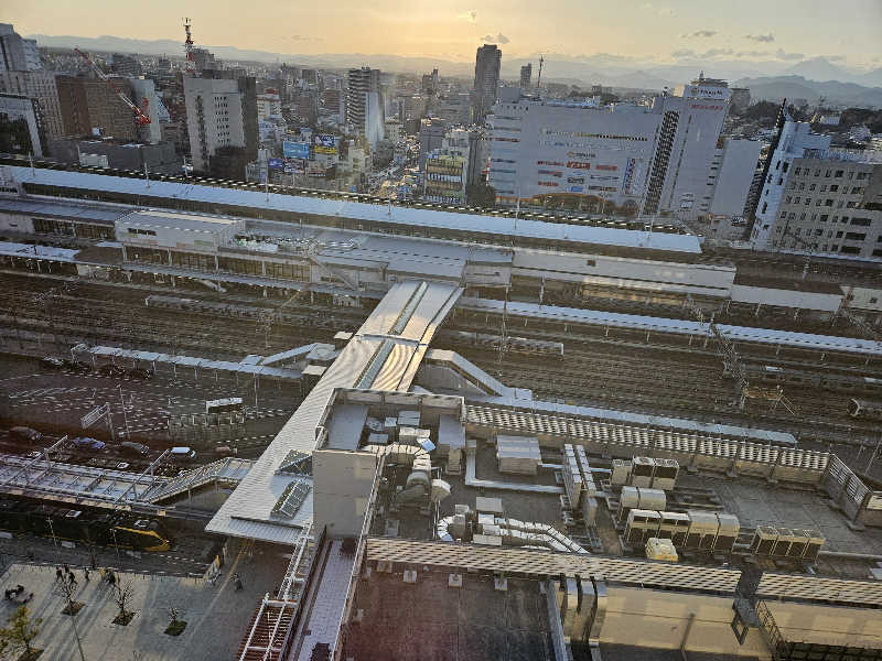 火の玉さんのカンデオホテルズ 宇都宮のサ活写真