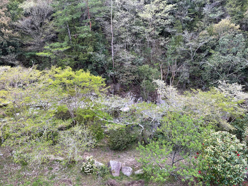 サ衛門さんの桃太郎温泉 一湯館のサ活写真