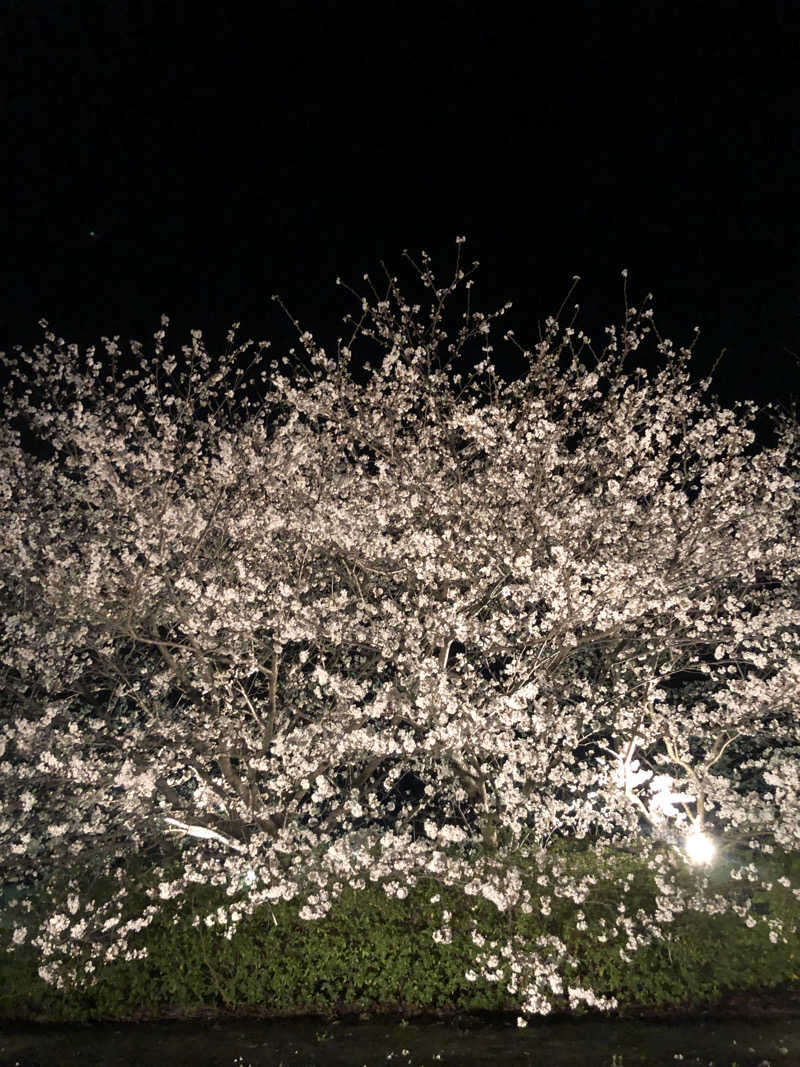 🐜働きアリ🐜さんの天然温泉日王の湯のサ活写真