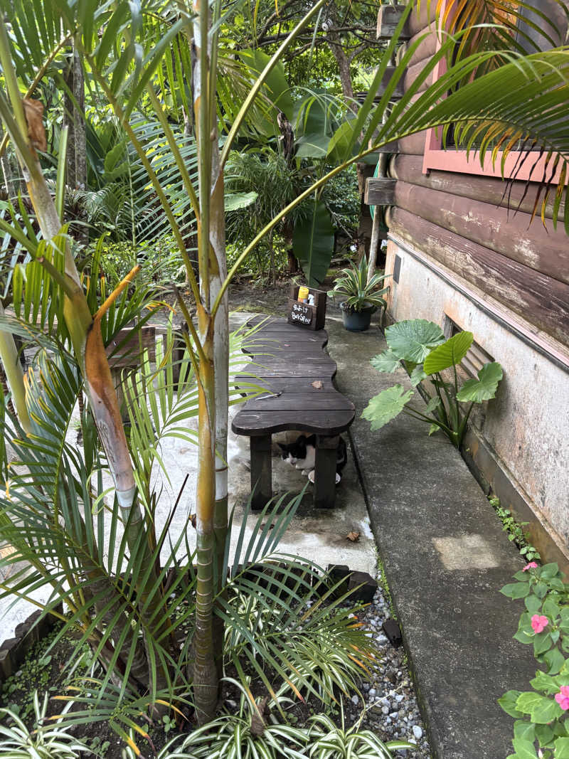 Airi Takasuさんの亜熱帯サウナのサ活写真