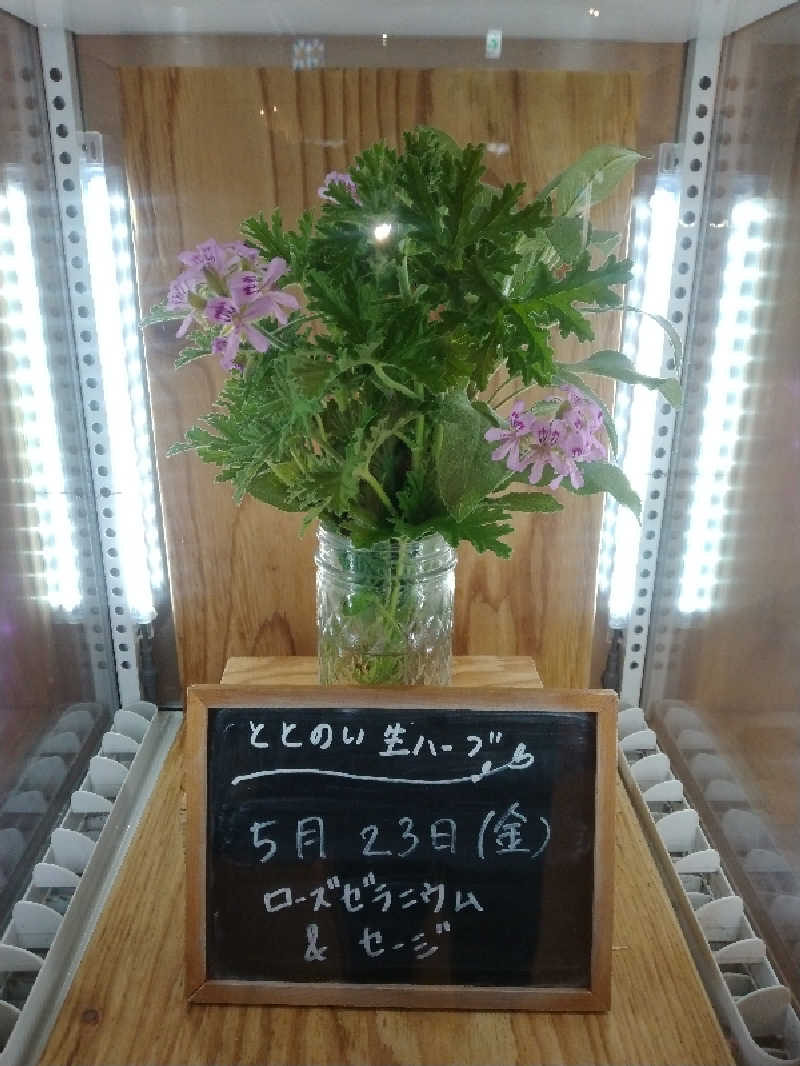 およねこゆうやんさんの各務原 恵みの湯のサ活写真
