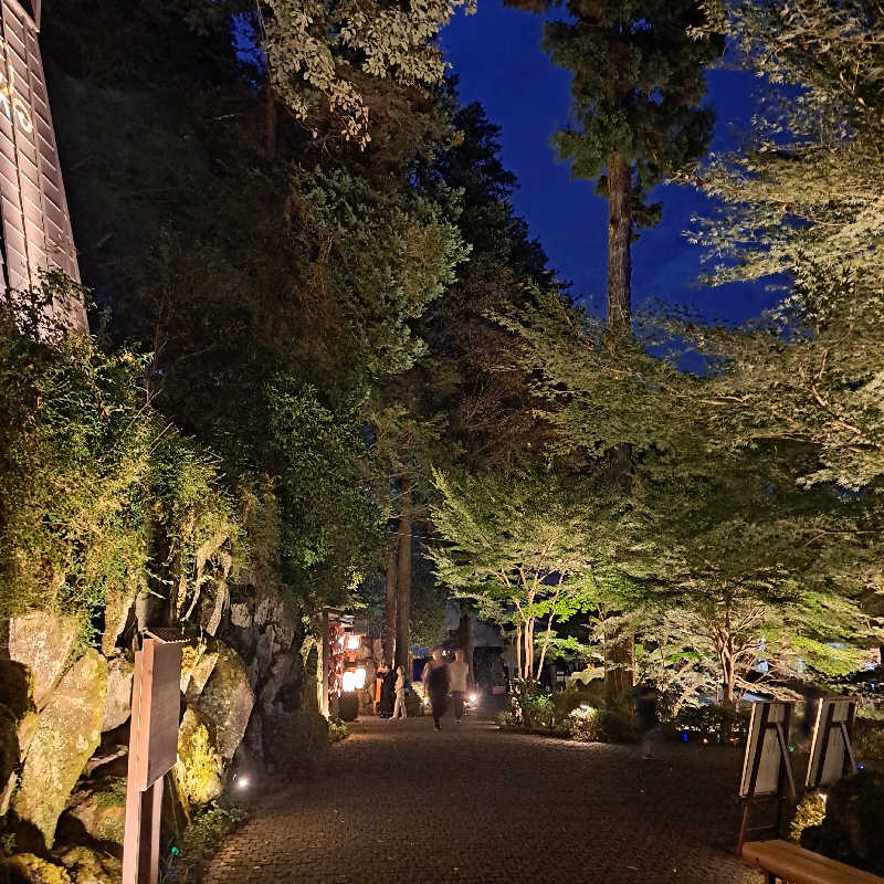 かち　３さんの箱根湯本温泉 天成園のサ活写真