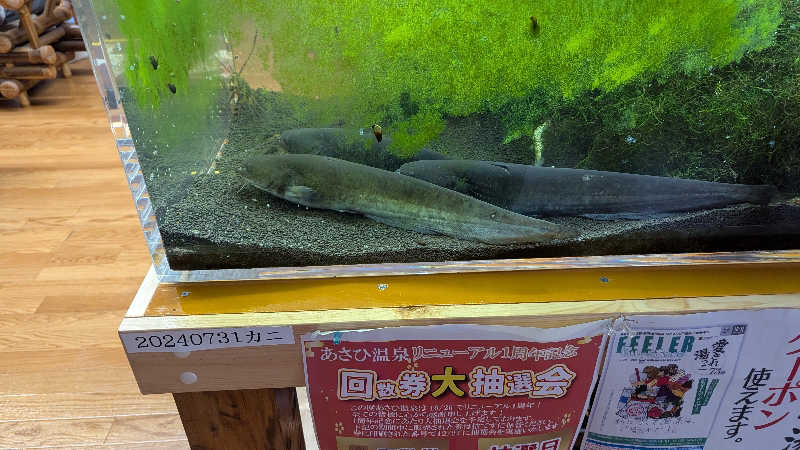 Hashigo no Takahashiさんのあさひ温泉のサ活写真