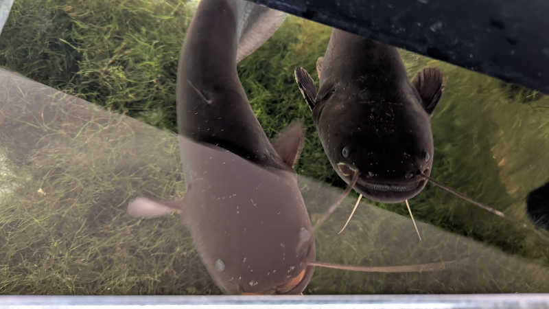 Hashigo no Takahashiさんのあさひ温泉のサ活写真